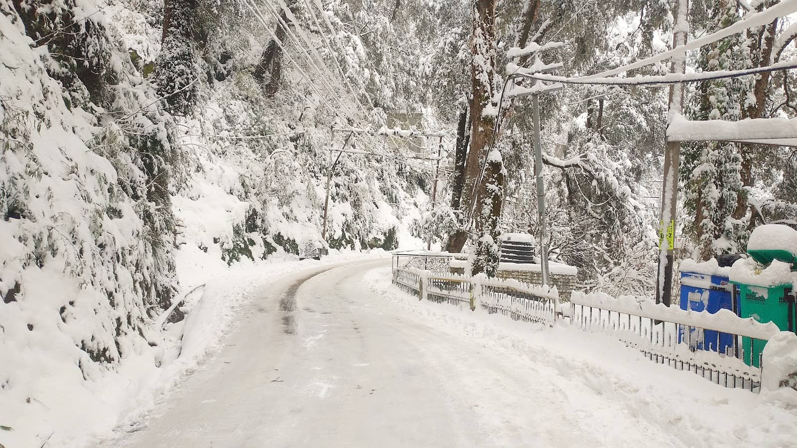 Cozy Cafes and Eateries