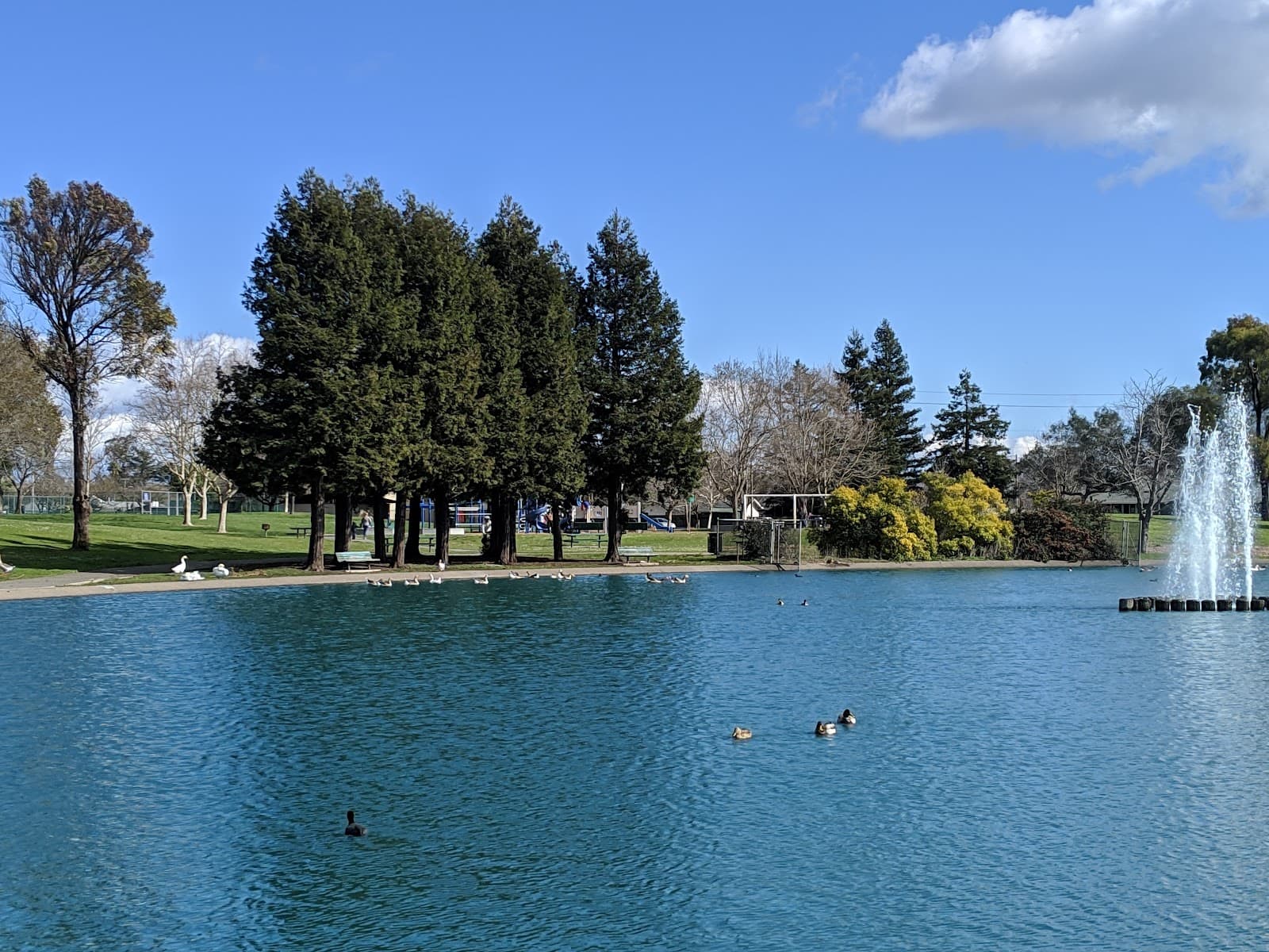 Lucchesi Park - Image 1