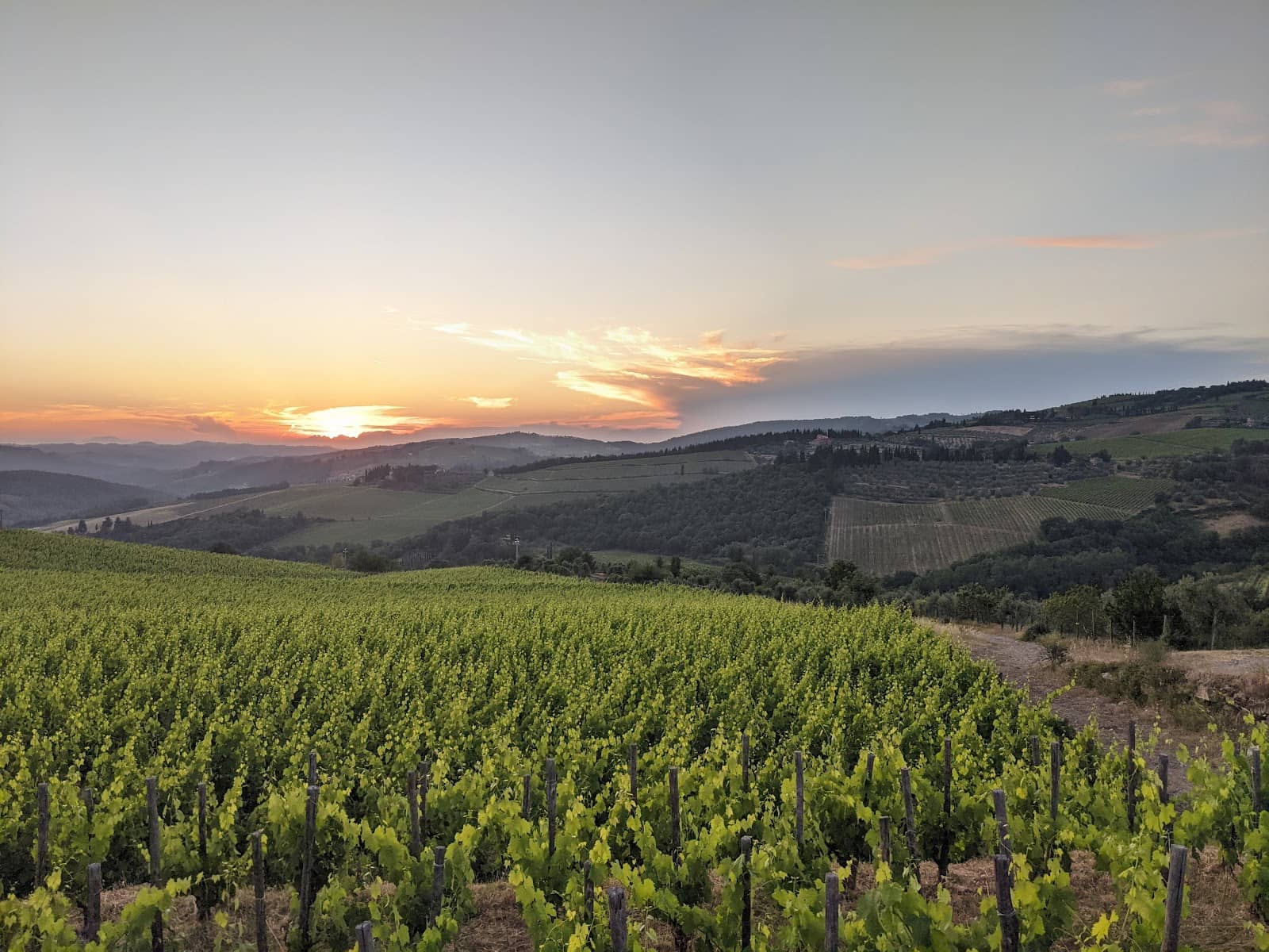 Chianti Wine Tasting