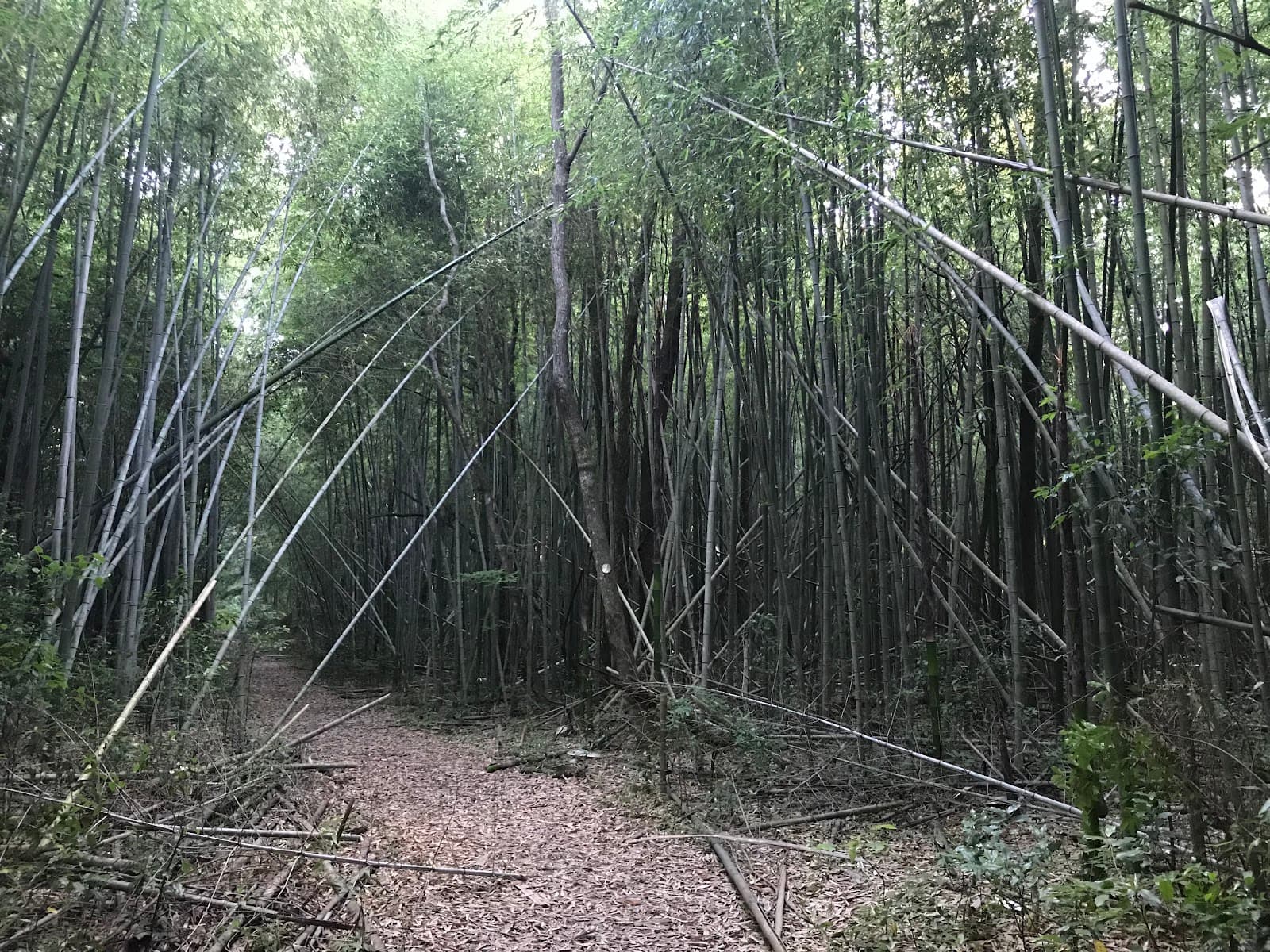Frenchtown Road Conservation Area - Image 1