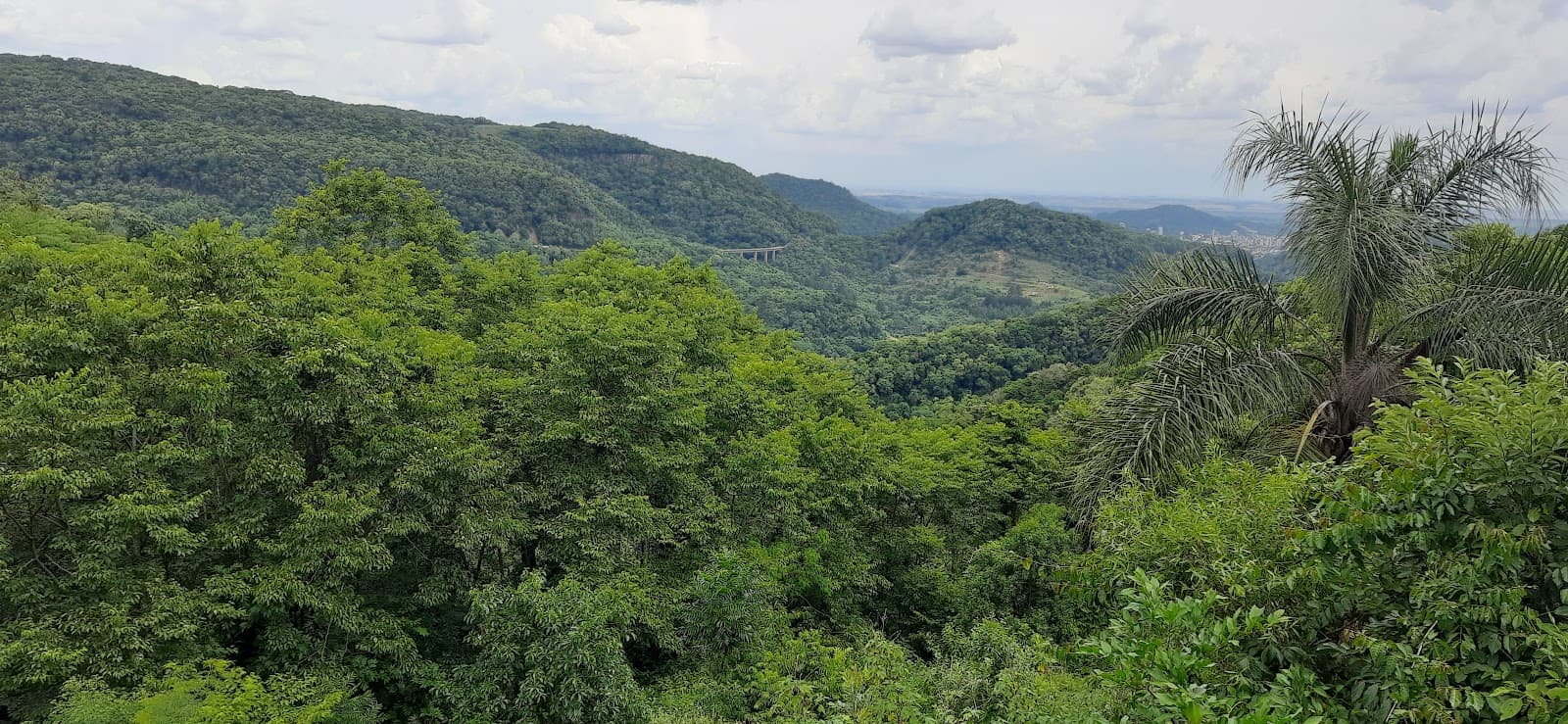 Avenida Rio Branco (Túnel Verde) - Image 1