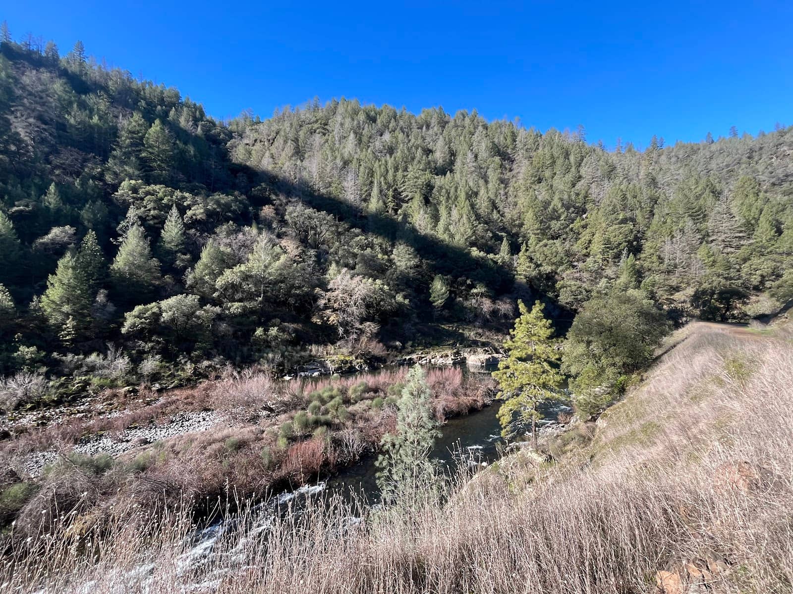 Vertical photo