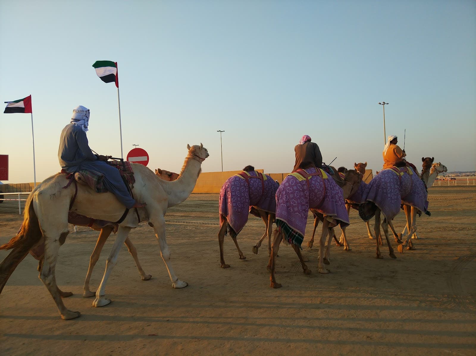 Al Maqam Camel Racetrack - Image 1