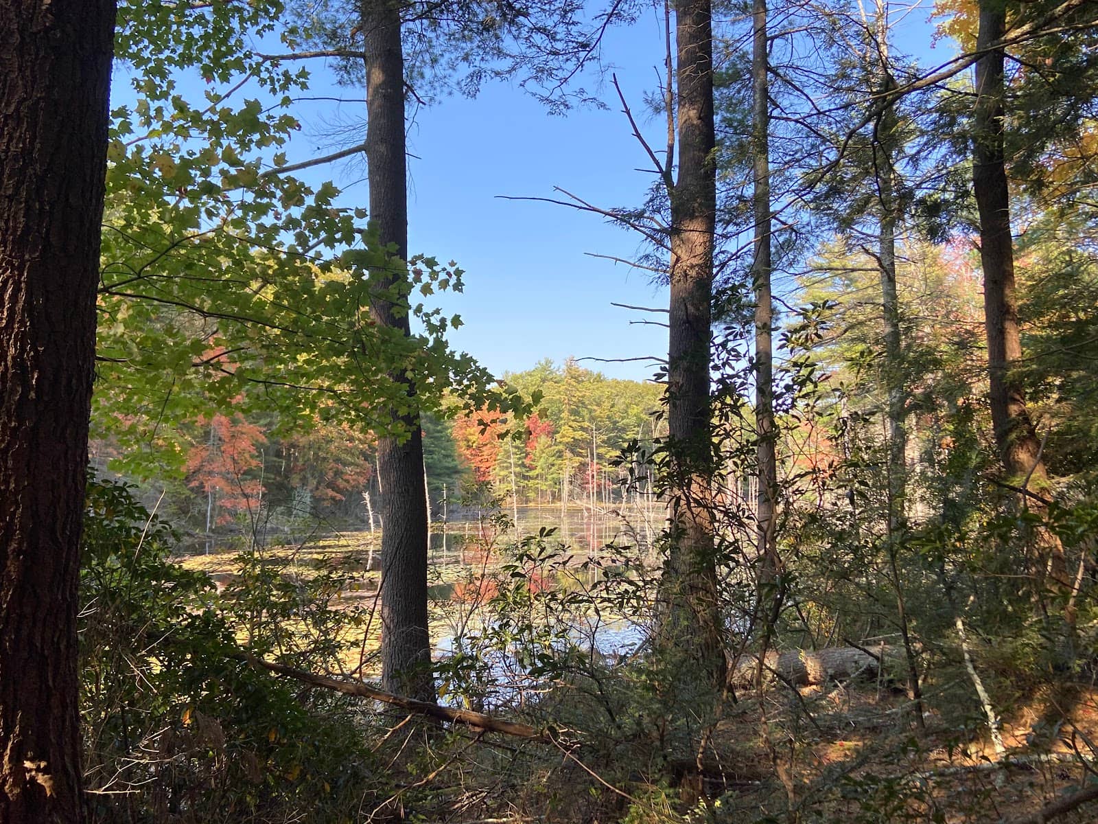 Abundant Wildlife Viewing