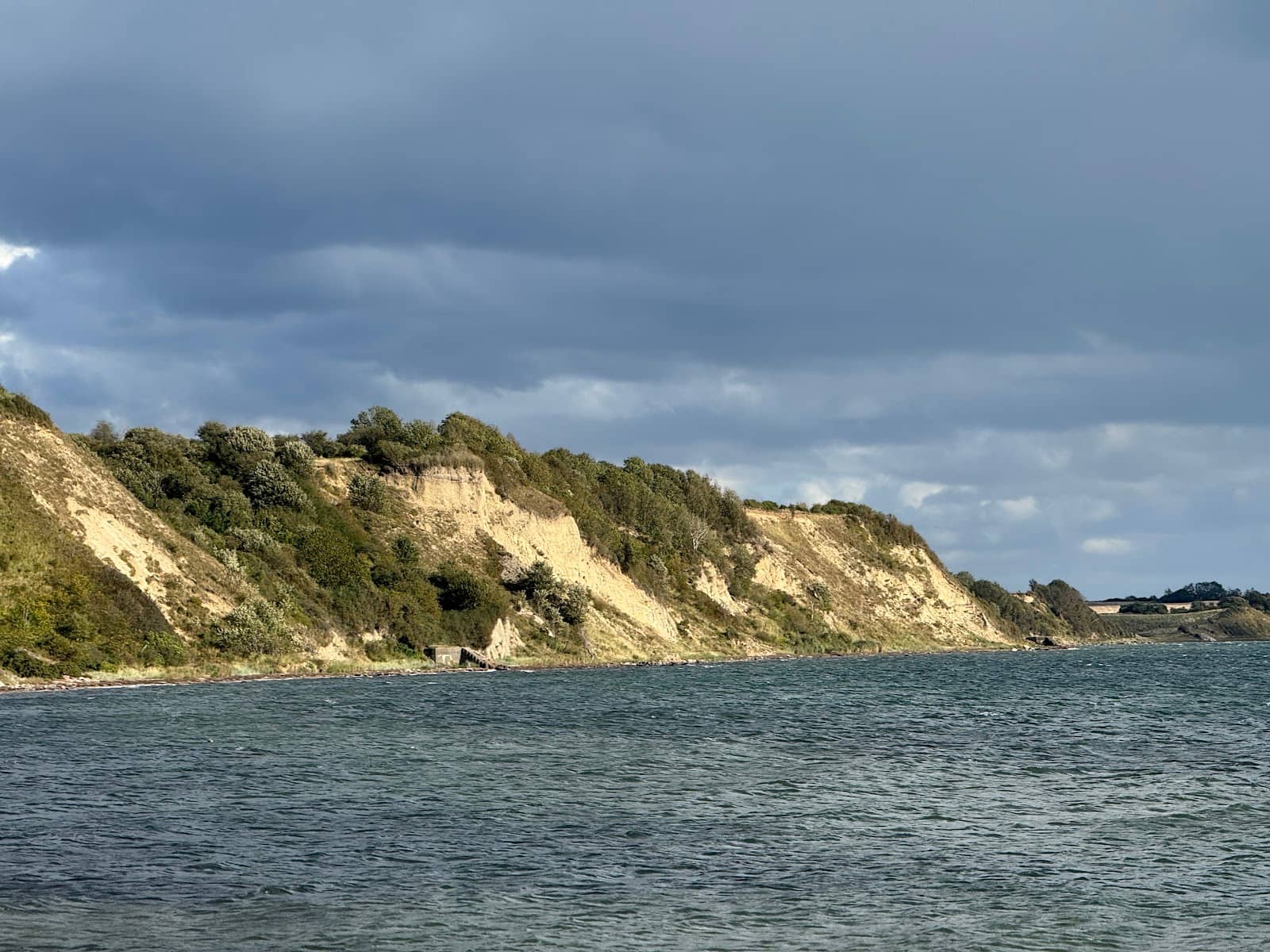 Beachcombing Adventures