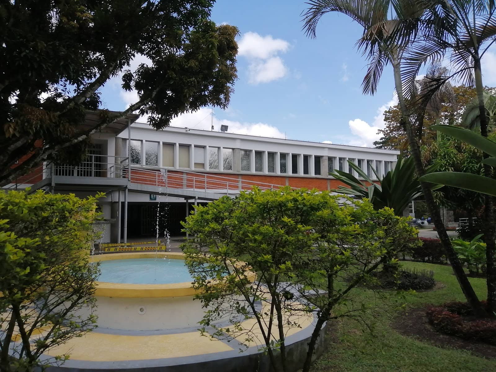 Alumni Homecoming Events