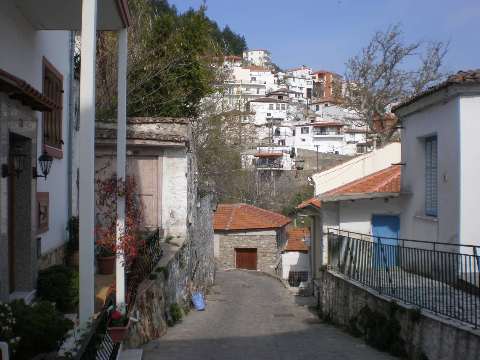 Vertical photo