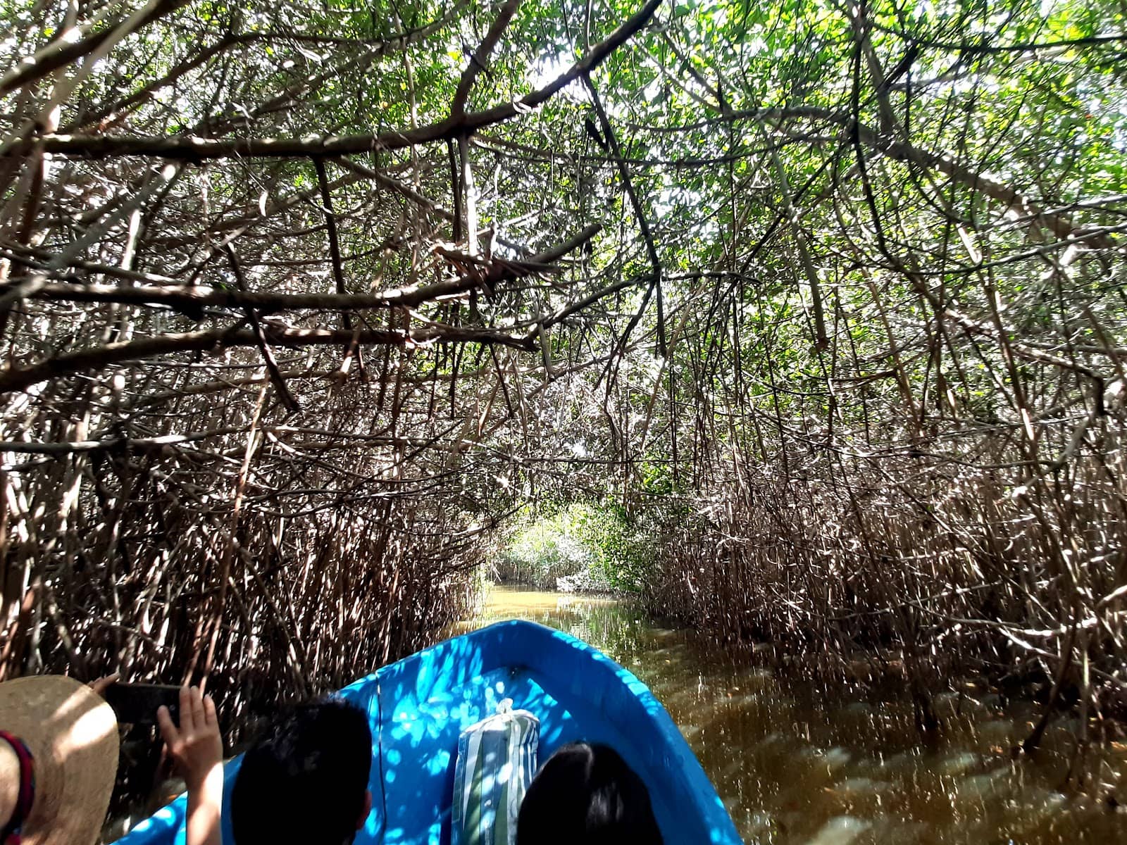 Birdwatching Paradise