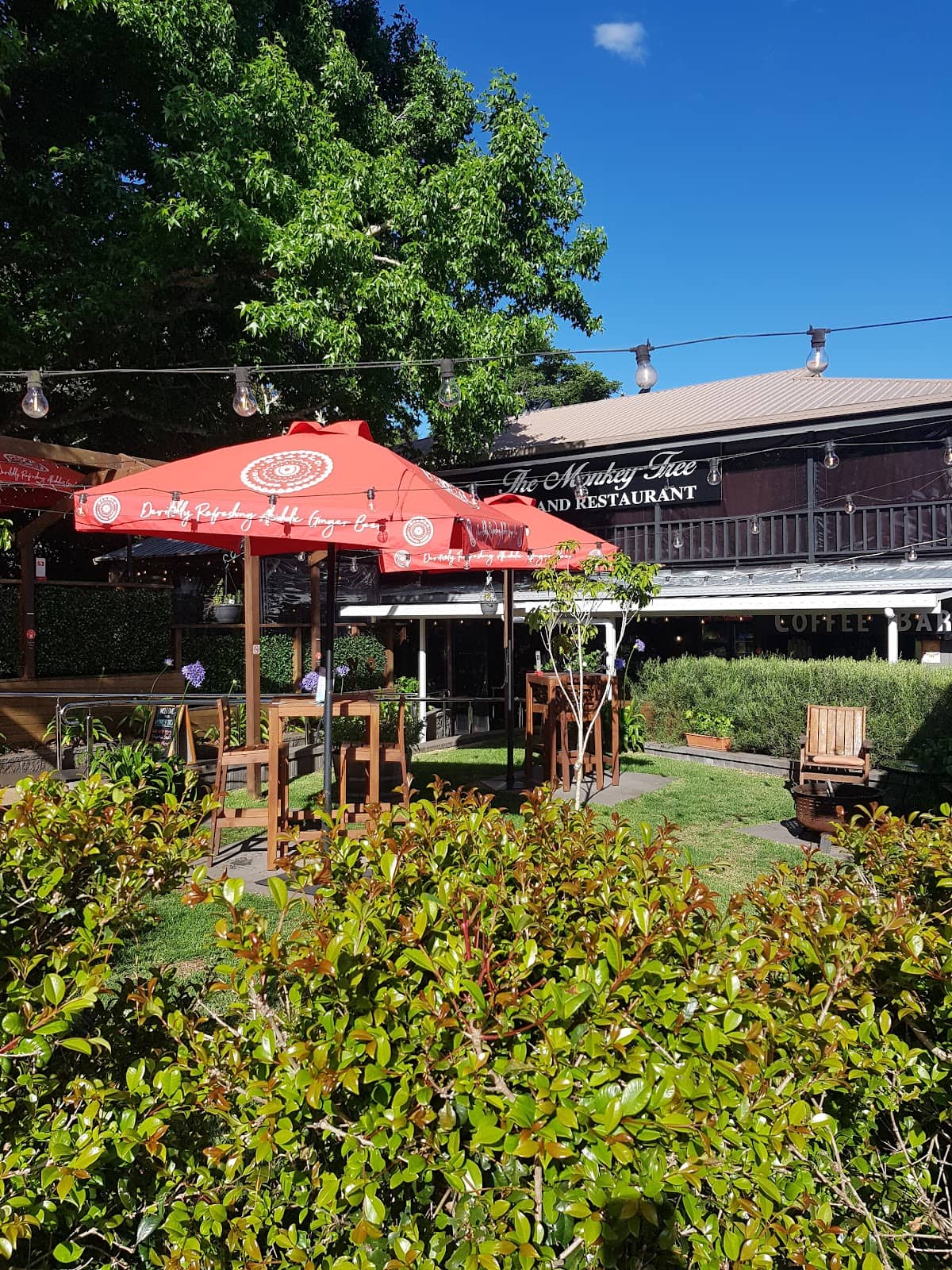 Mountain Resort Charm