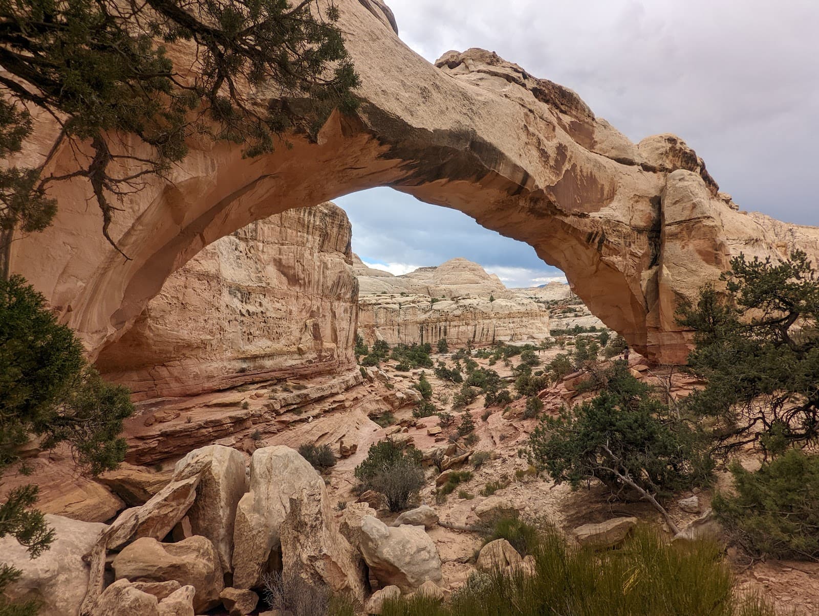 Capitol Reef Historic Orchards - Image 1
