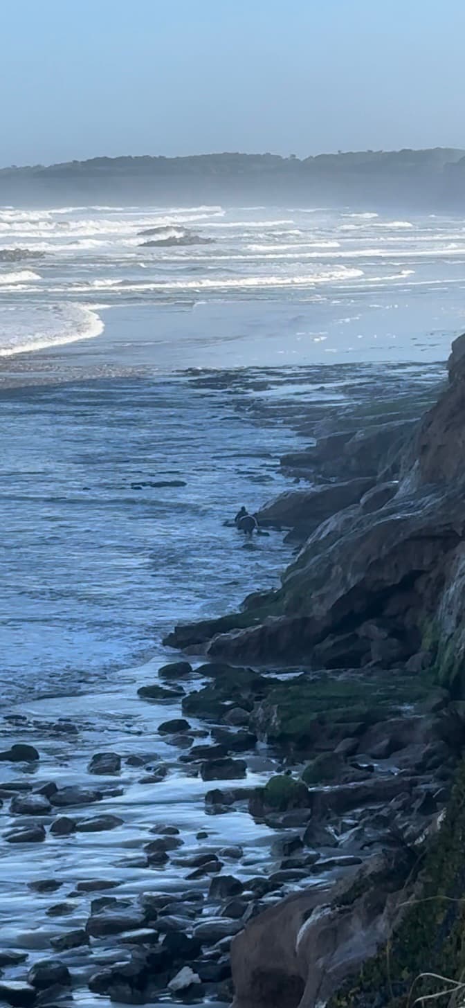 Playa Serena - Image 1