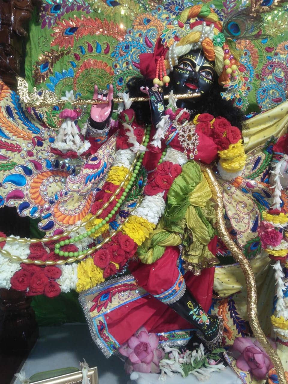 Spacious and Well-Maintained Campus