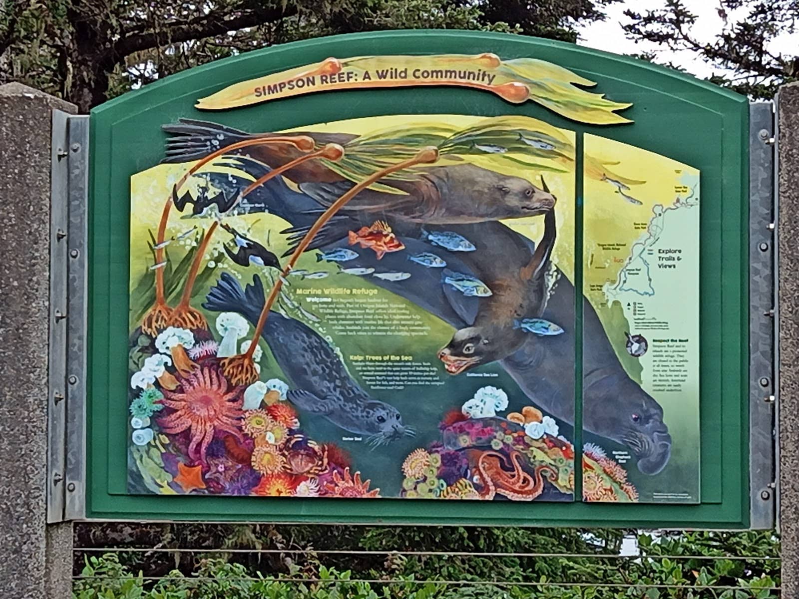 Whale Watching Opportunities