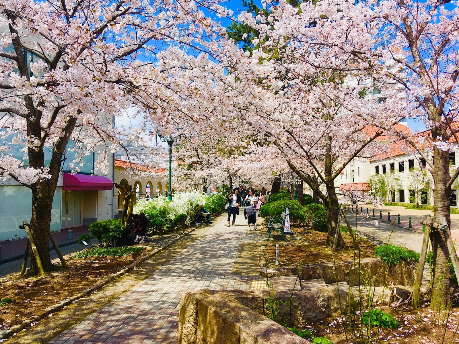 Hana no Michi (Flower Road) - Image 1