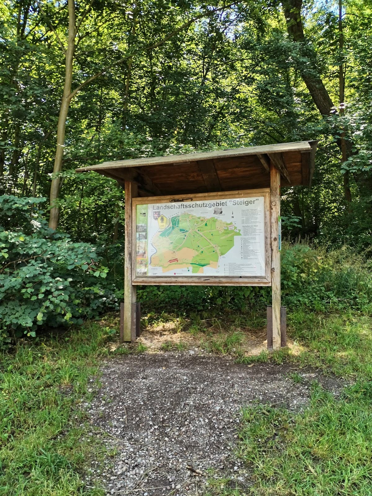 Steigerwald Forest Germany - Image 1