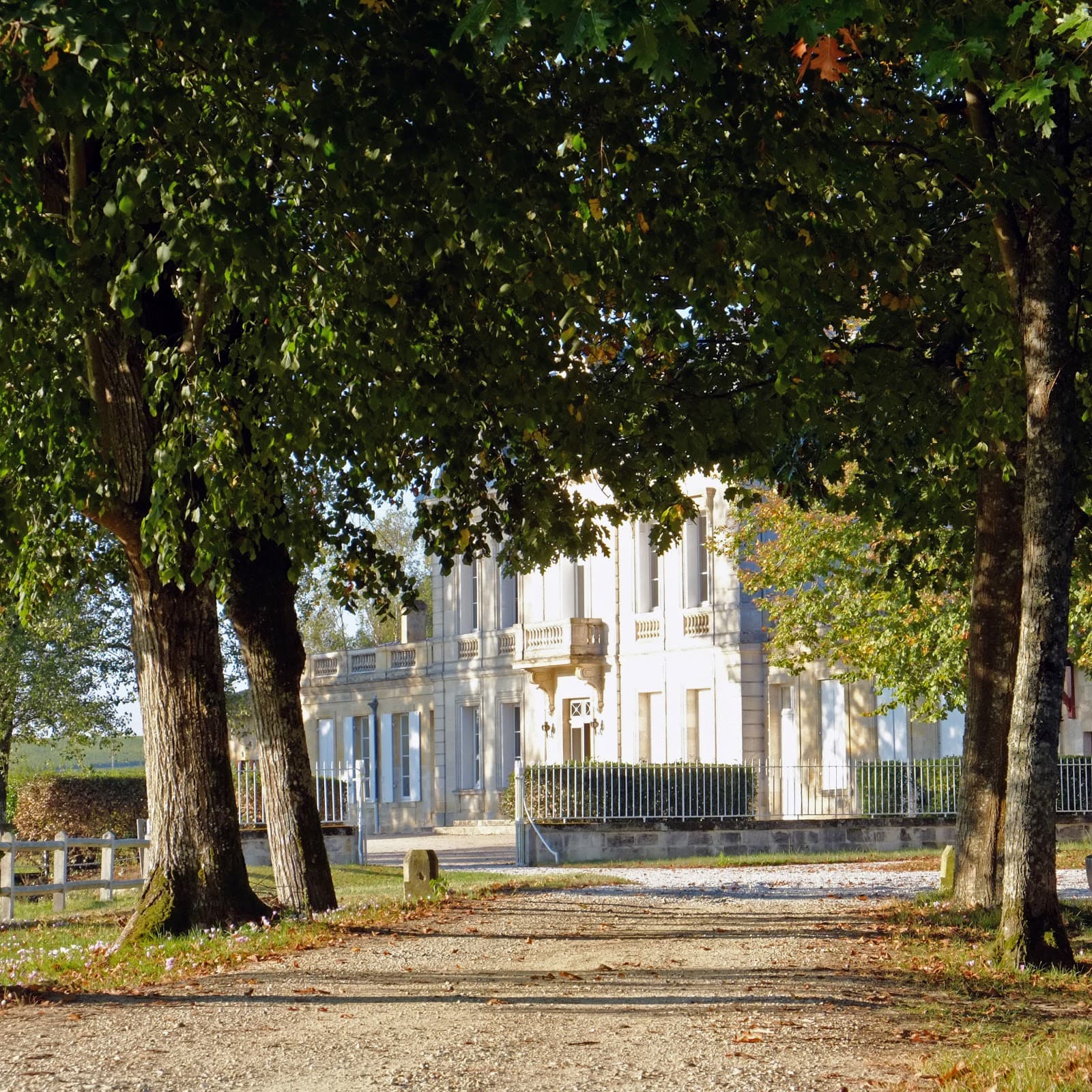 Château du Ferran - Image 1