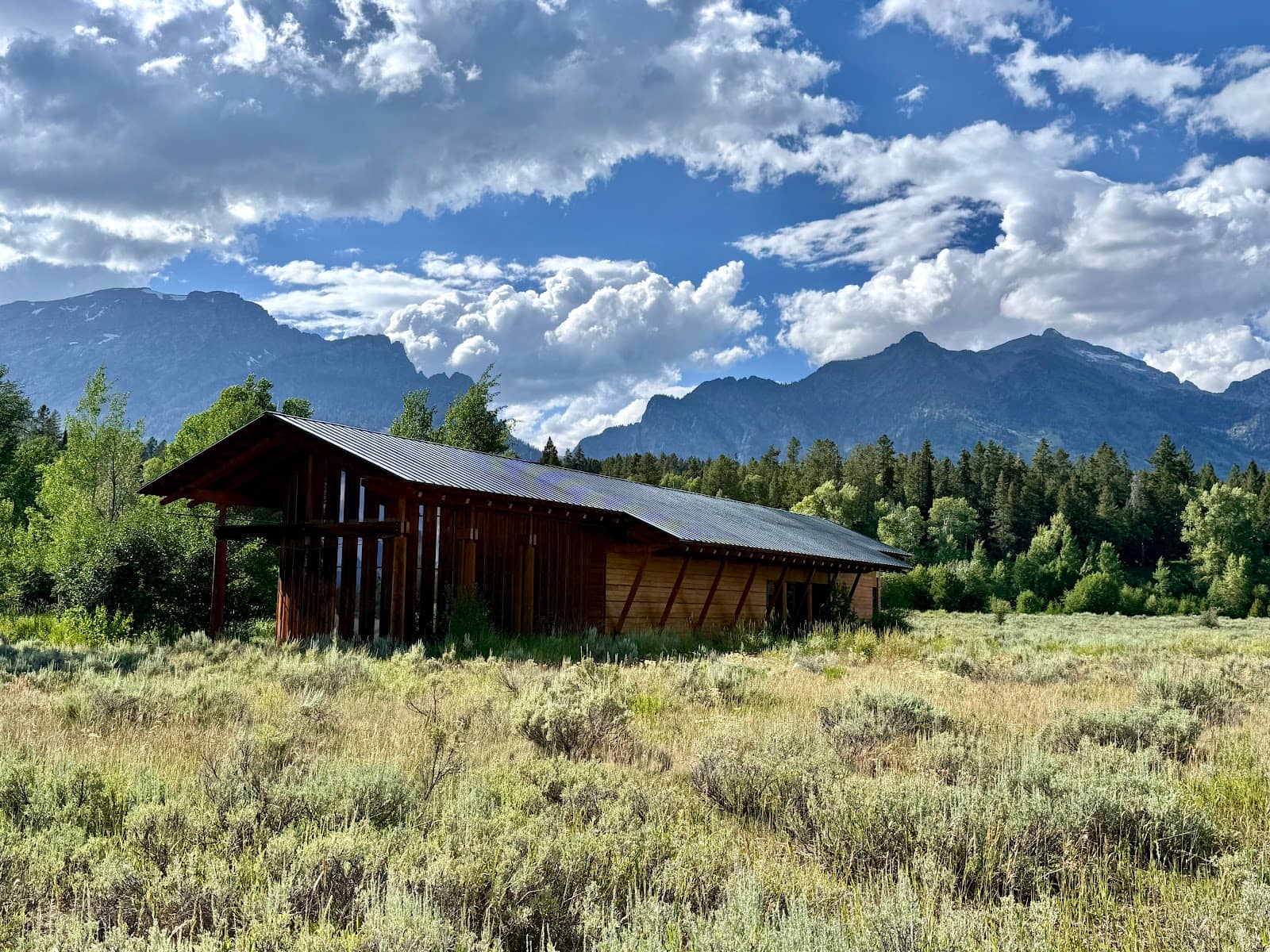 Wildlife Viewing Opportunities