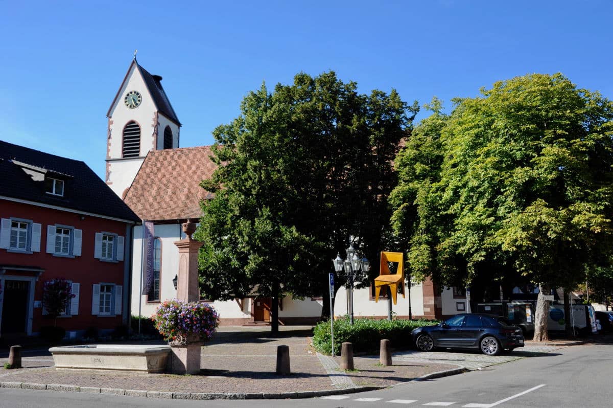 Ancient Linden Trees