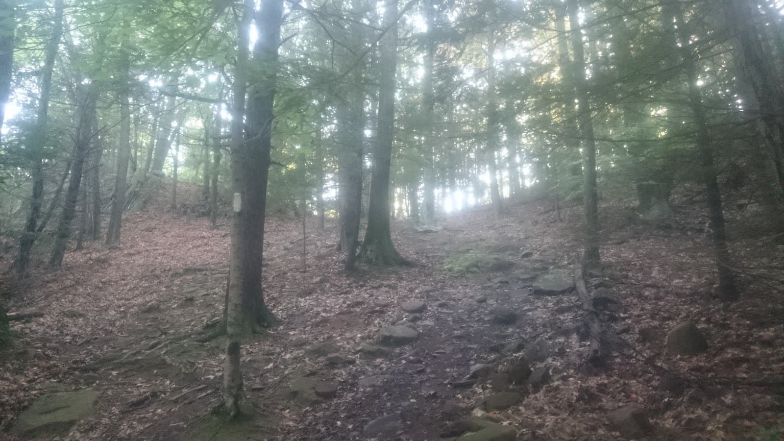 Provin Mountain (New England Trail) - Image 1