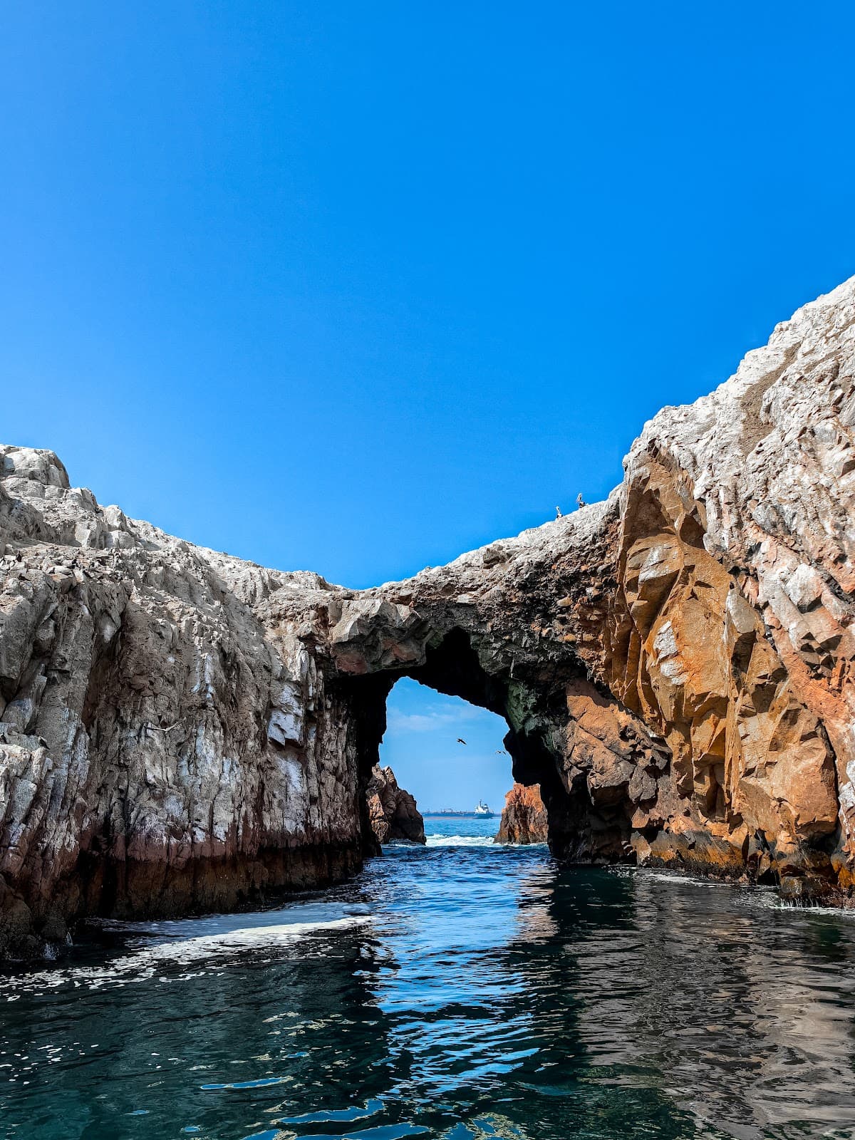 Islas Ballestas Peru - Image 1