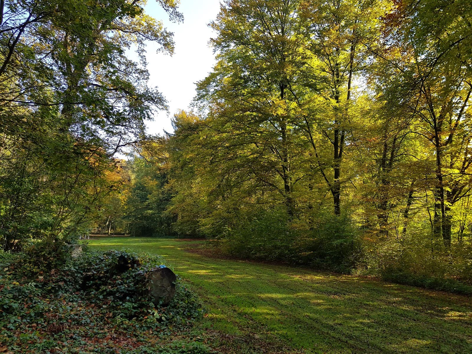 Riedlepark - Image 1