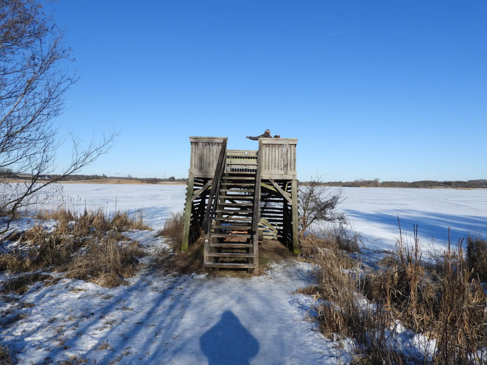 Forest Walking Paths