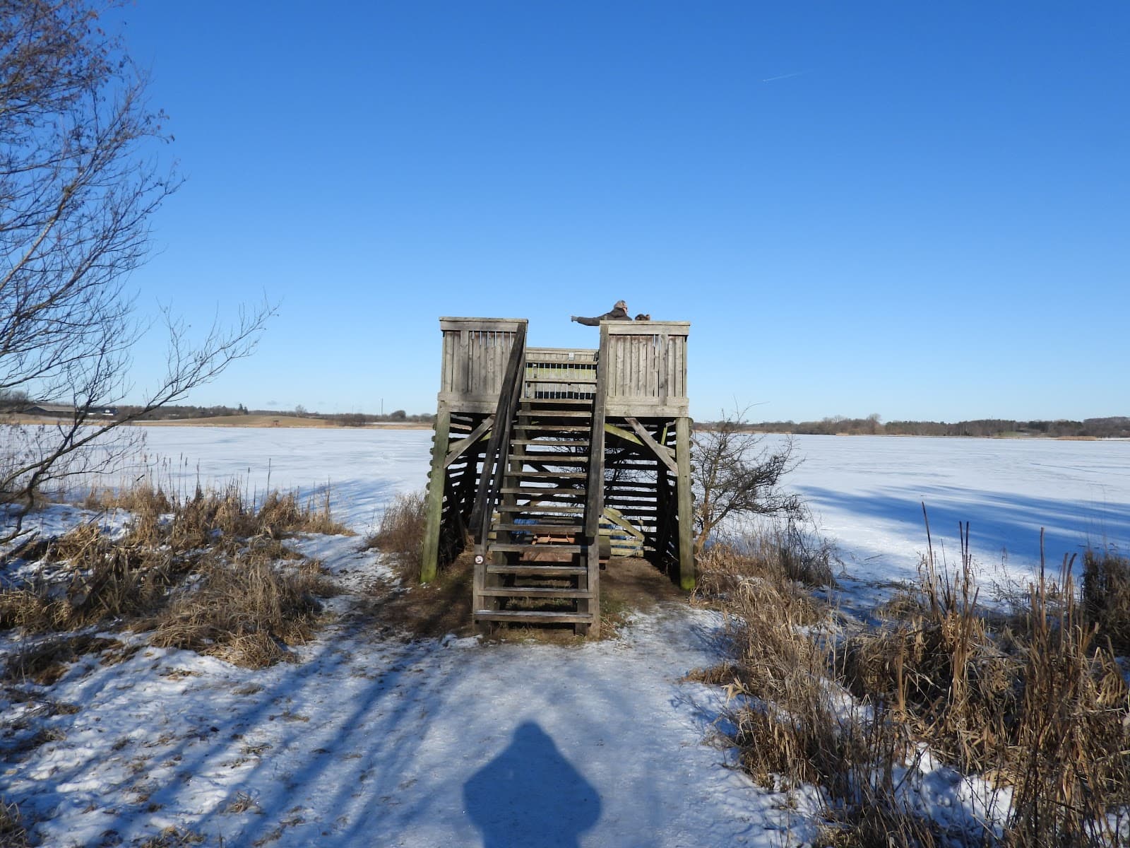 Nejede Vesterskov - Image 1