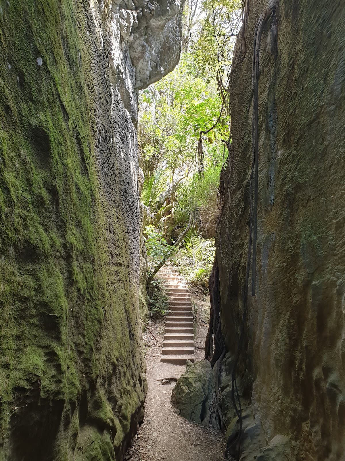 The Grove Scenic Reserve - Image 1