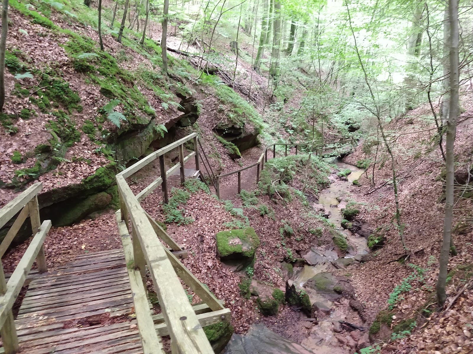 Guldenschlucht - Image 1