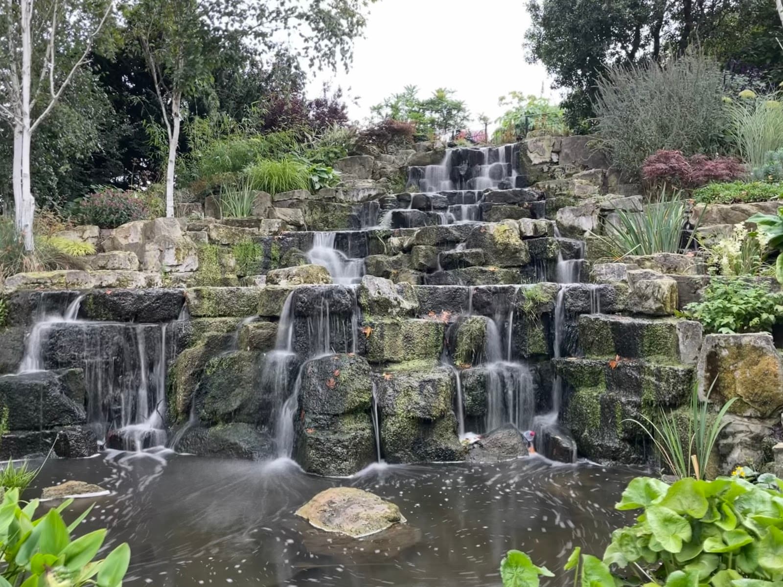 The Japanese Garden, Greenwich Park - Image 1