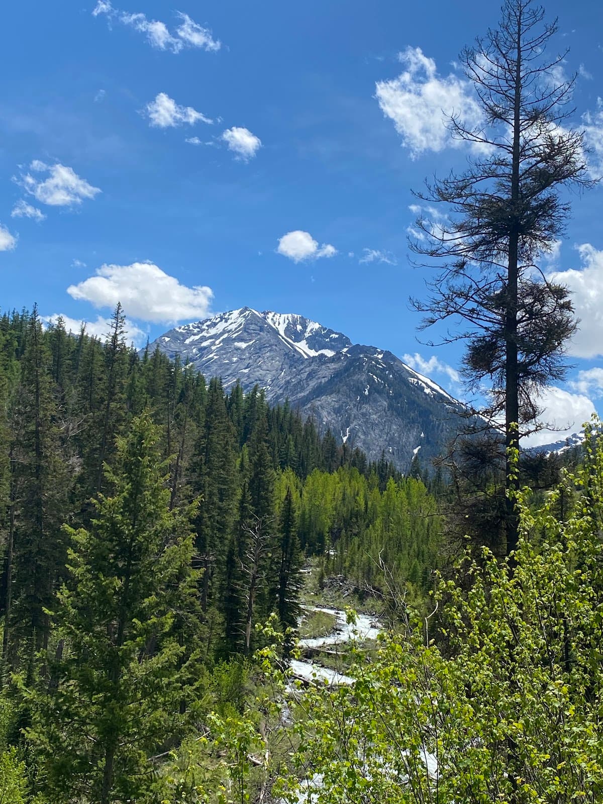 Hurricane Creek Trail - Image 1