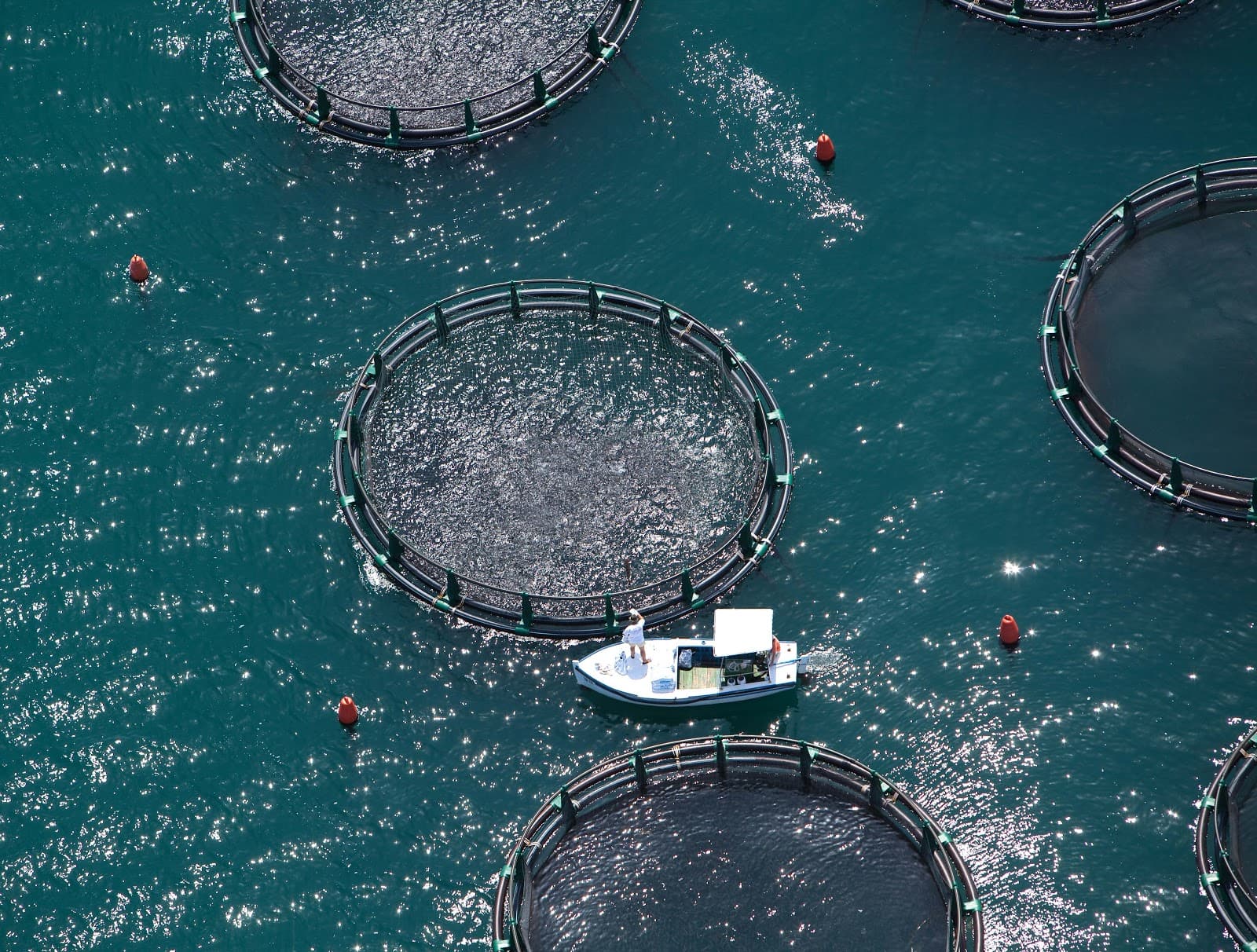 Fonda Fish Farm - Image 1