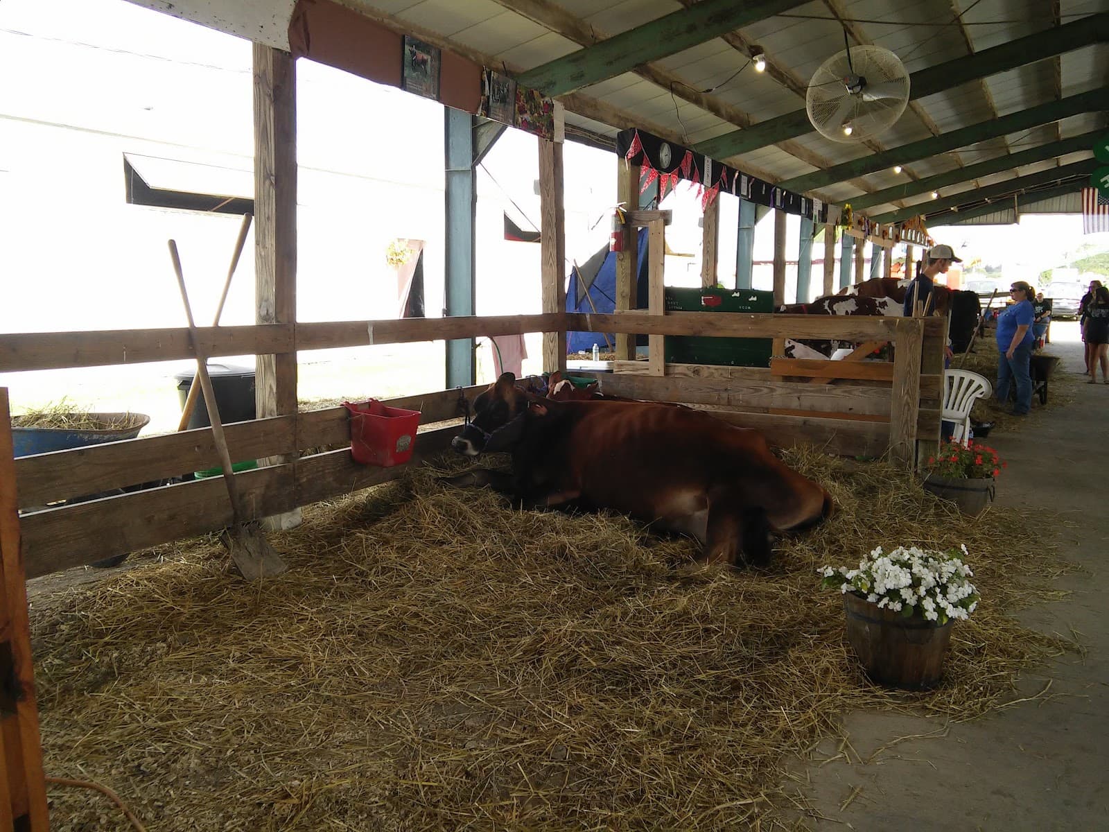 Genesee County Fairgrounds - Image 1