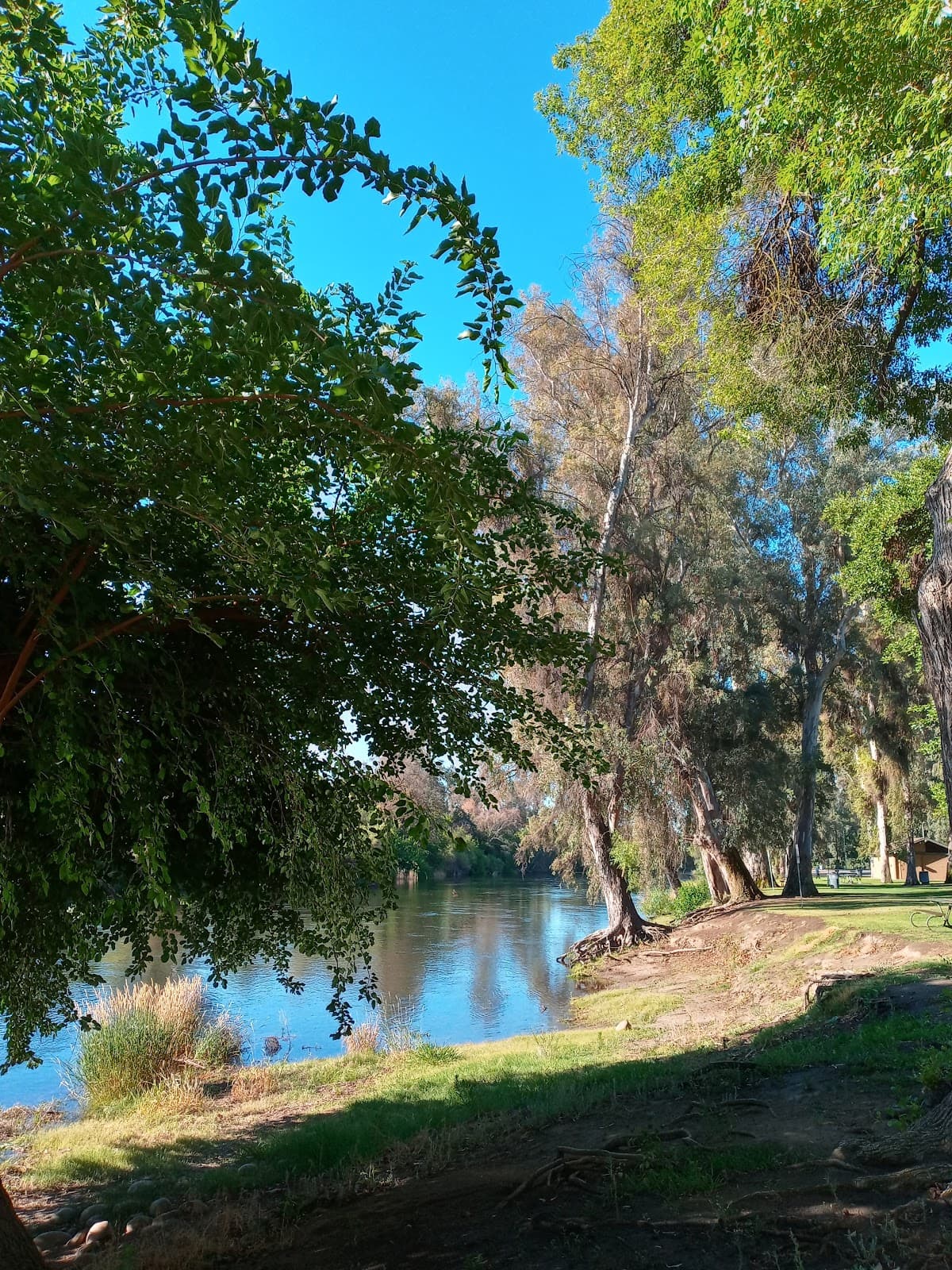 Kings River Recreation Area - Image 1