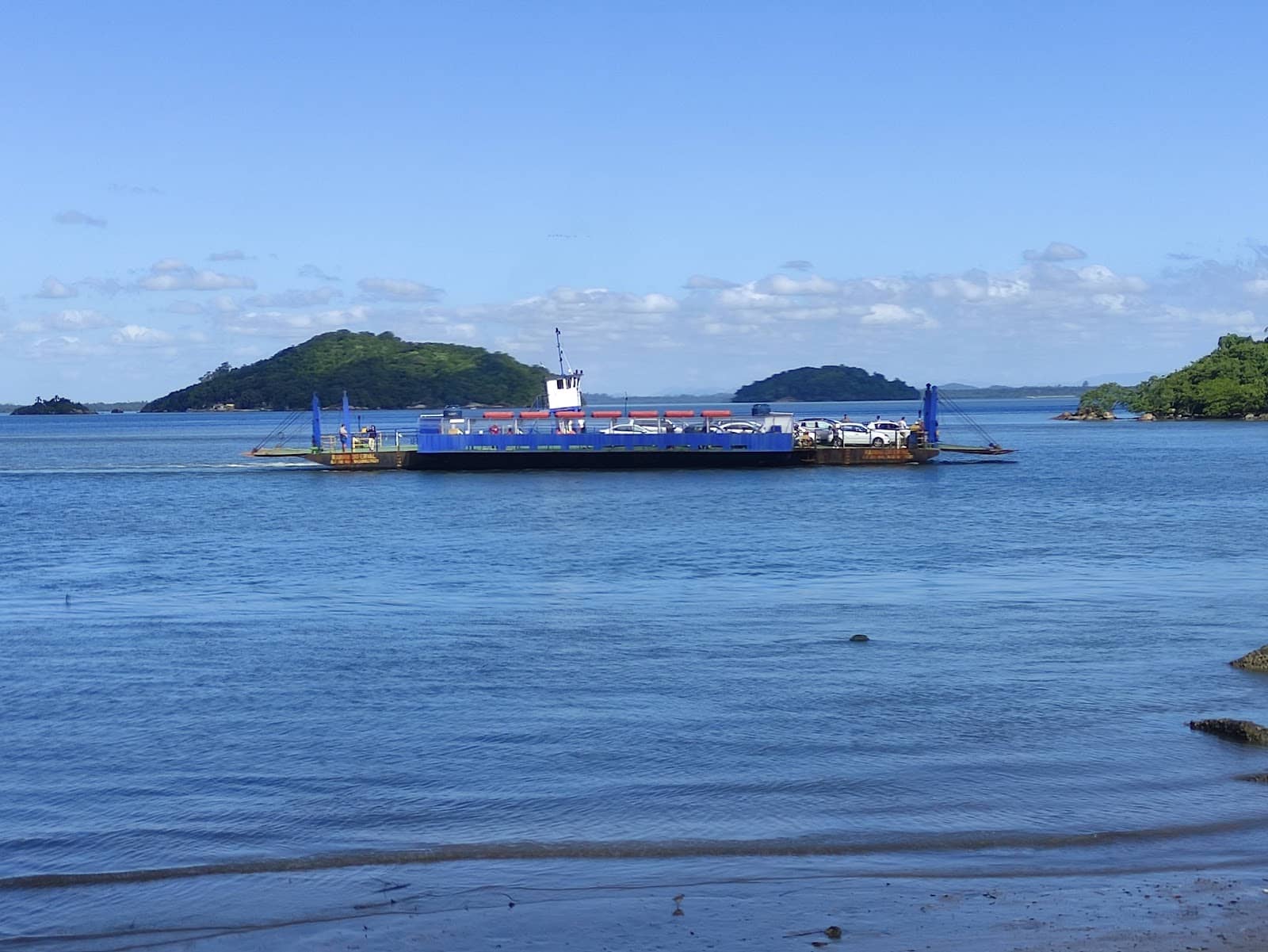 Abundant Marine Life