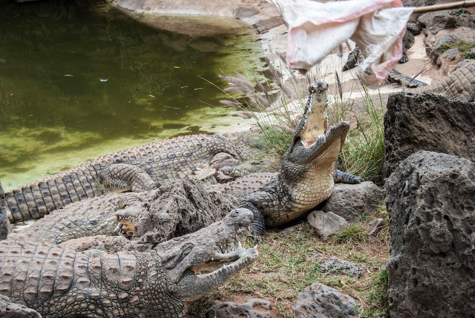 Mamba Village Nairobi - Image 1