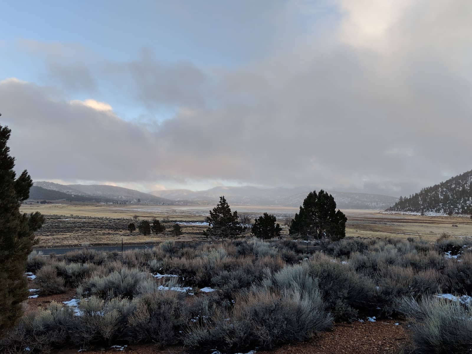 Tranquil Meadow Meanders