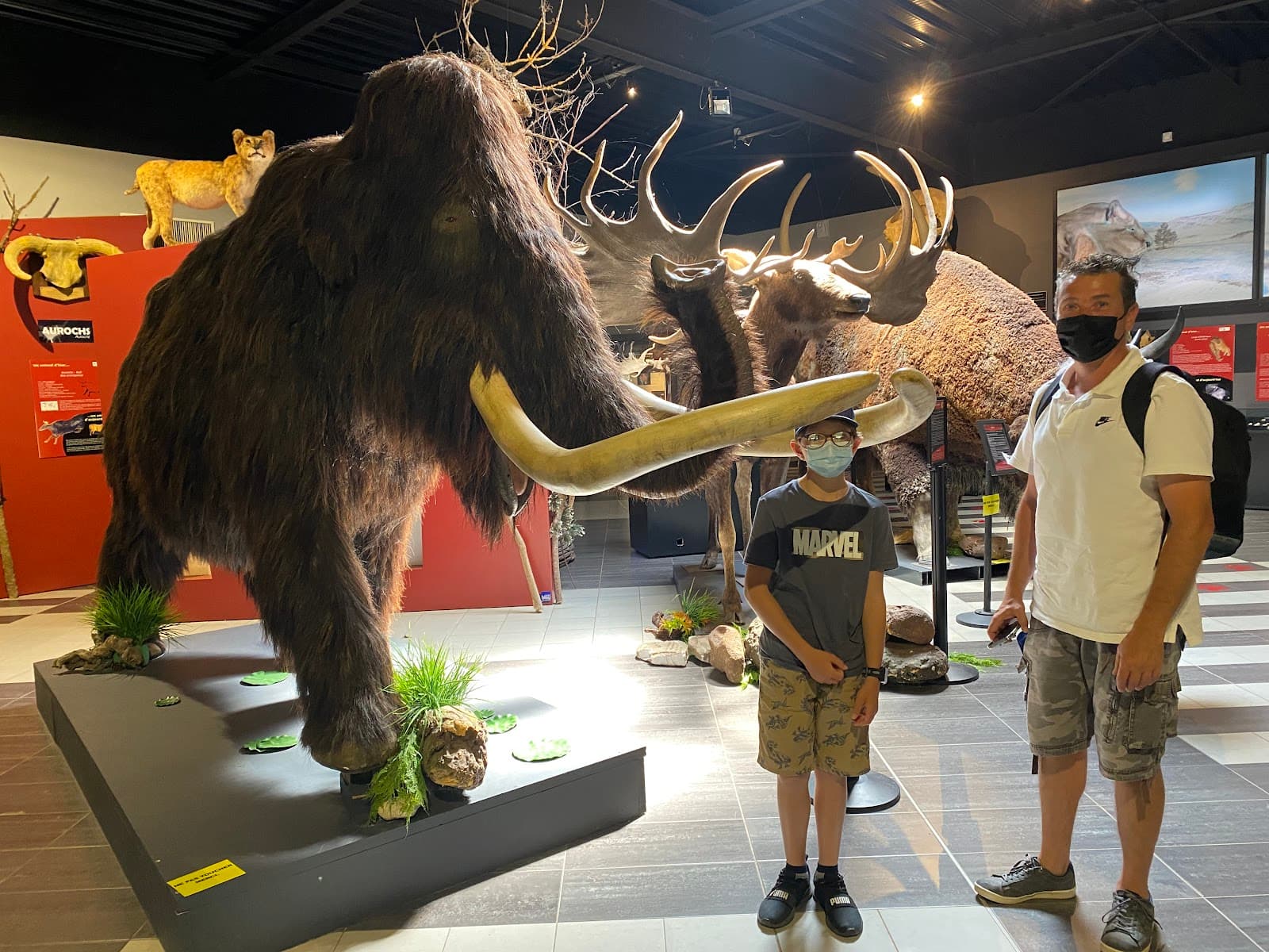 Paléosite (Saint-Césaire) - Image 1