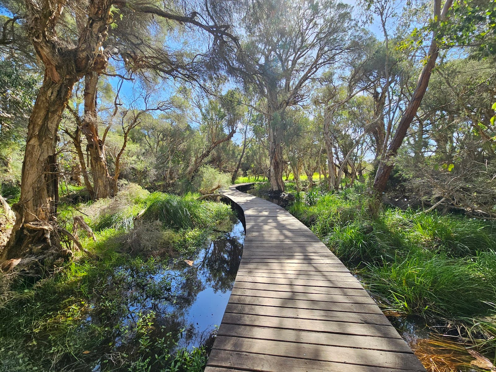 Yellagonga Regional Park - Image 1