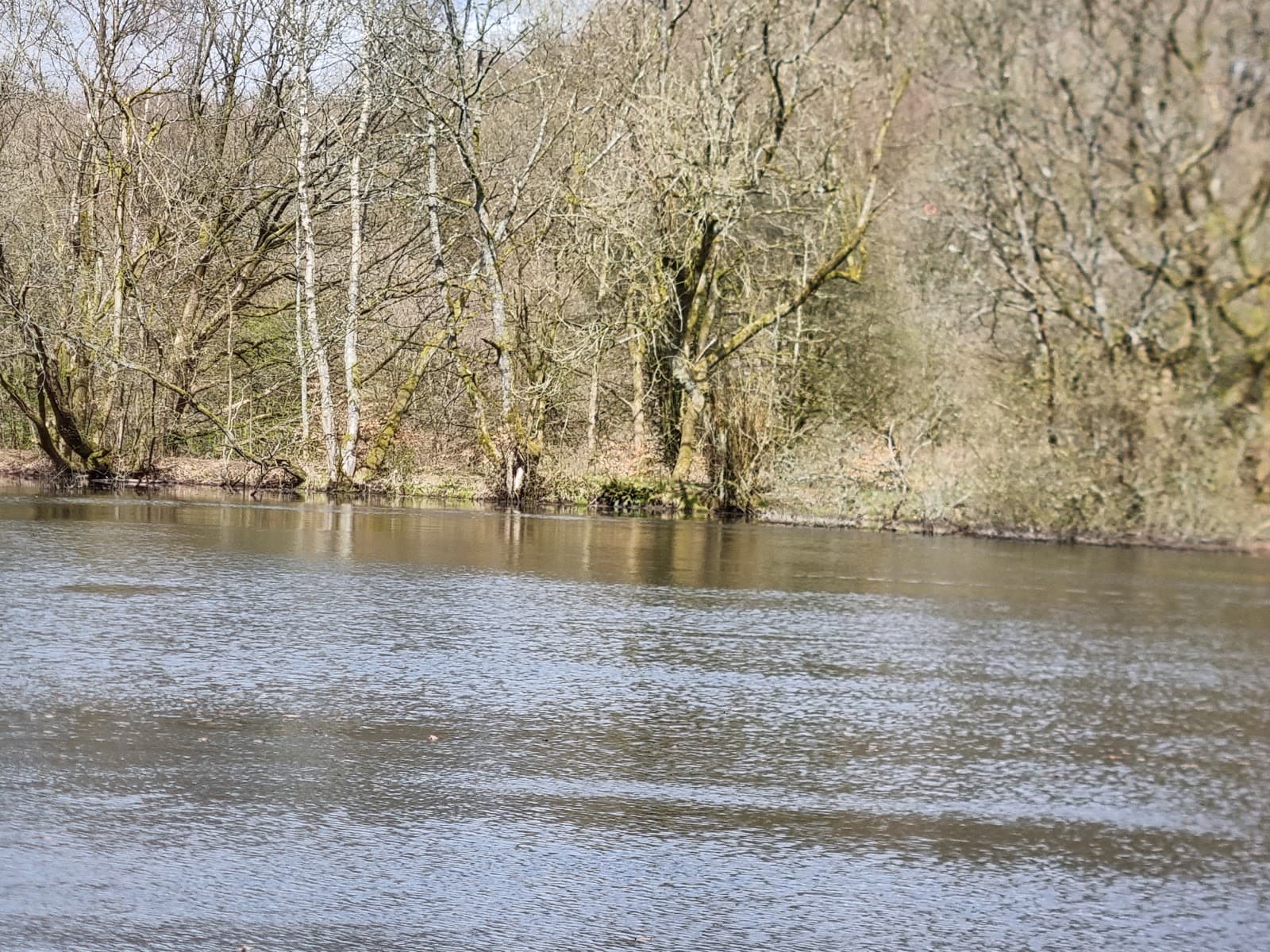 Eagley Brook Valley Local Nature Reserve - Image 1