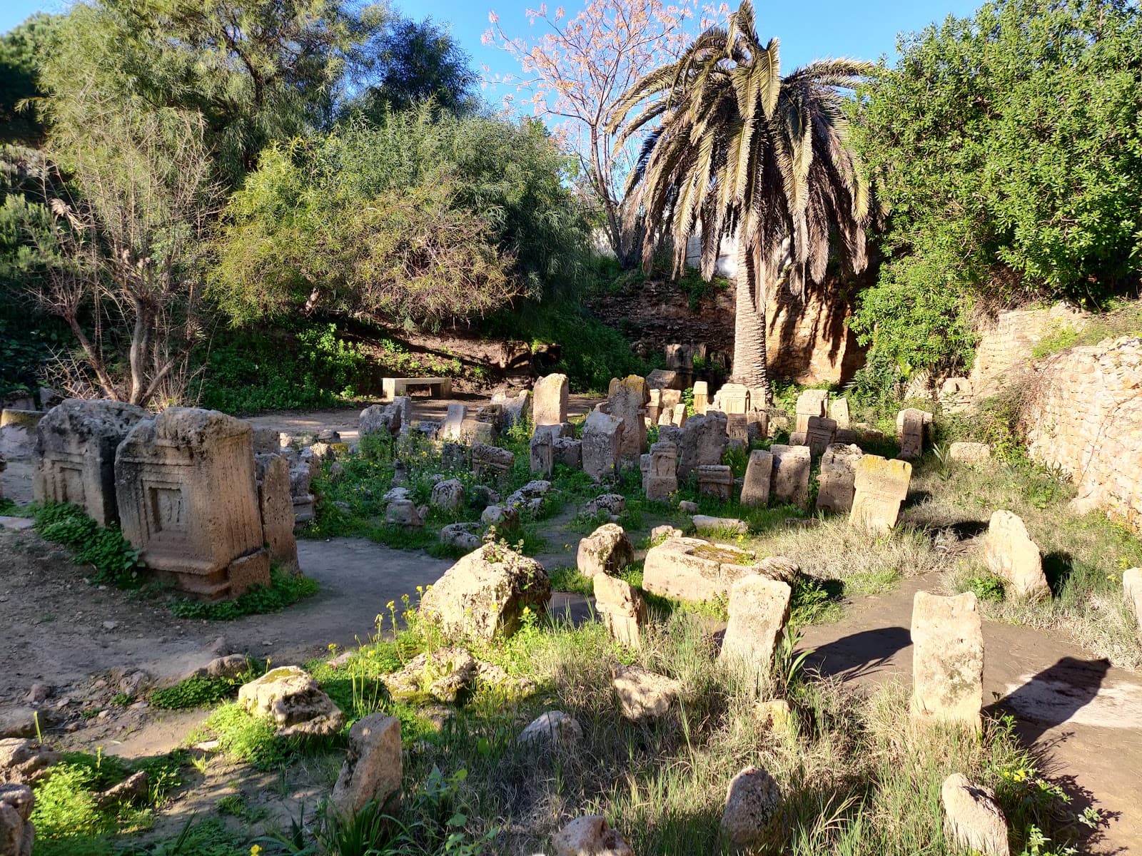 Tophet of Carthage - Image 1