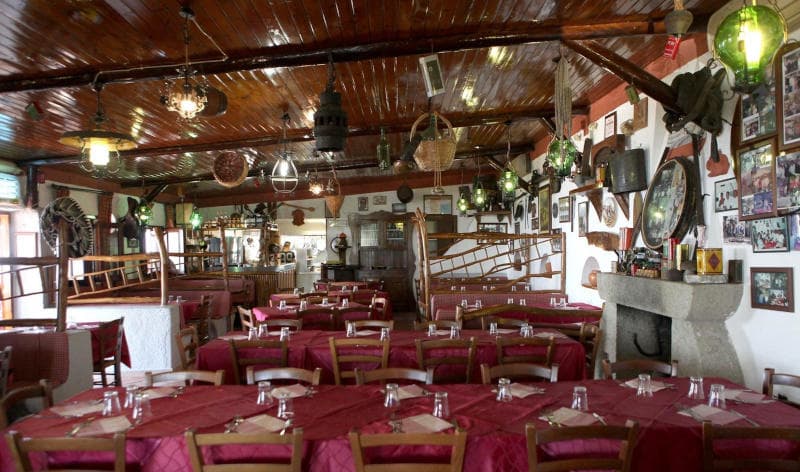 La Falanga Chestnut Forest - Image 1