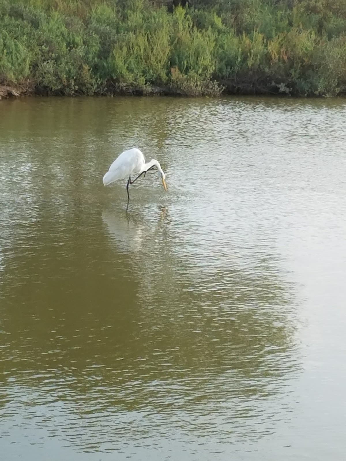Paseo de la Resaca Trail - Image 1