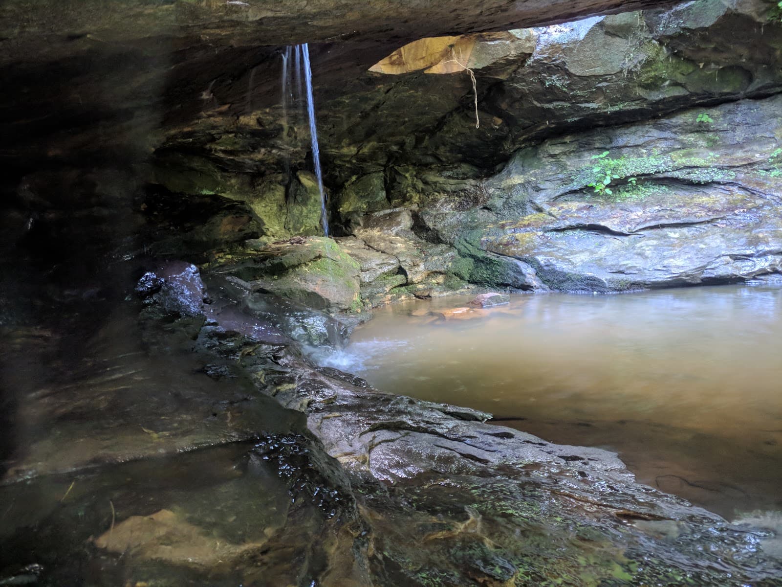 Labarque Creek Conservation Area - Image 1