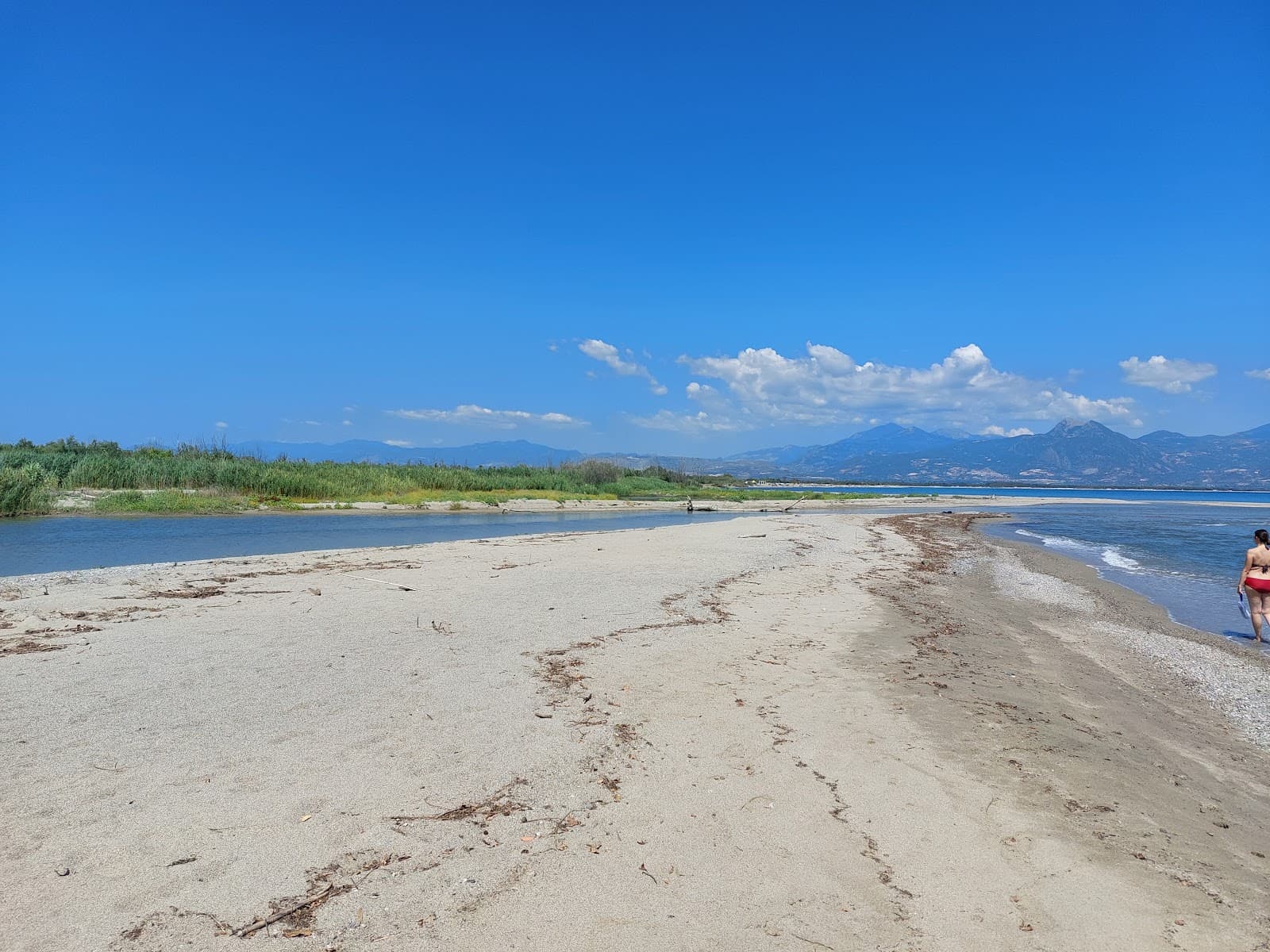 Foce del Crati Nature Reserve - Image 1