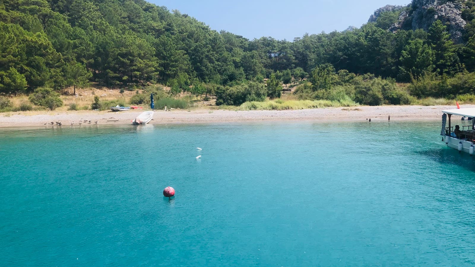 Ceneviz Bay (Genoese Bay) - Image 1