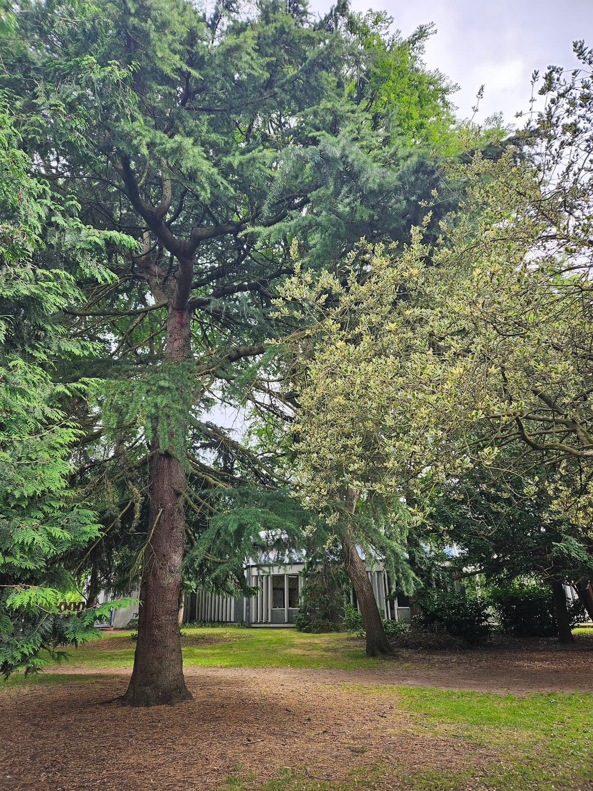 Bourne Hall Park & Lake - Image 1