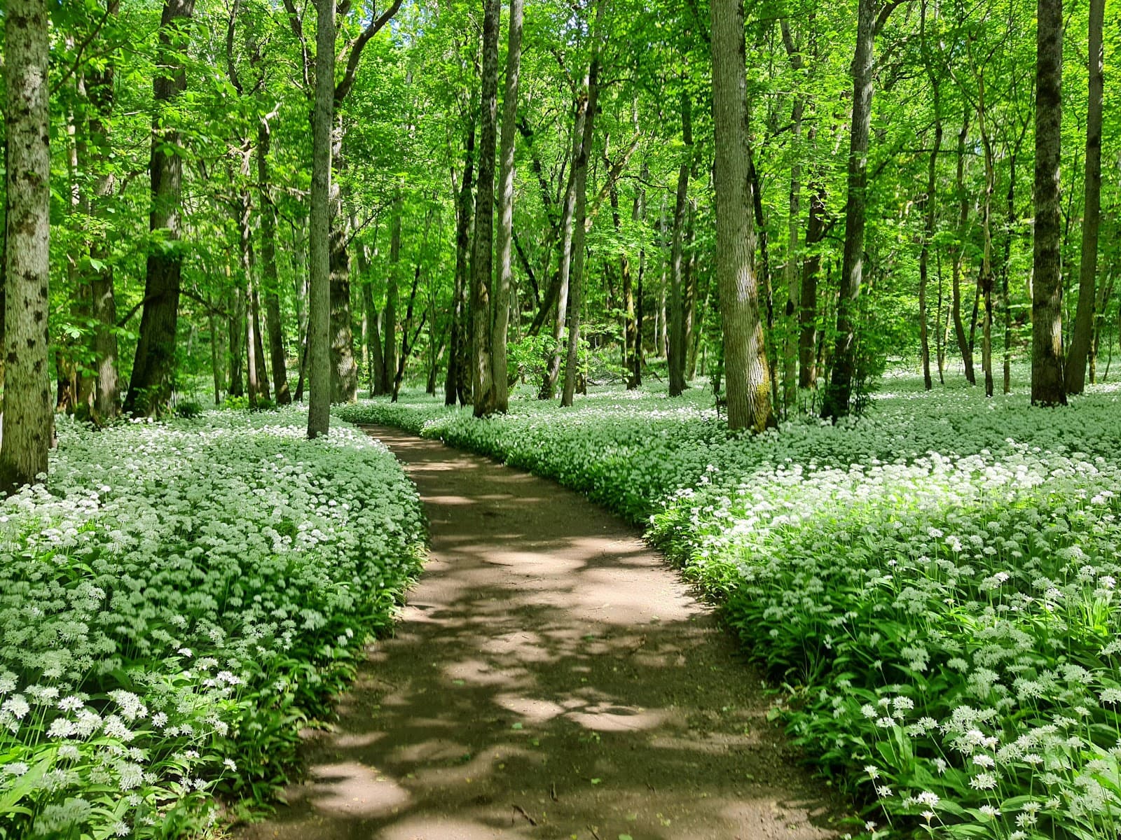 Munkängarna Nature Reserve - Image 1
