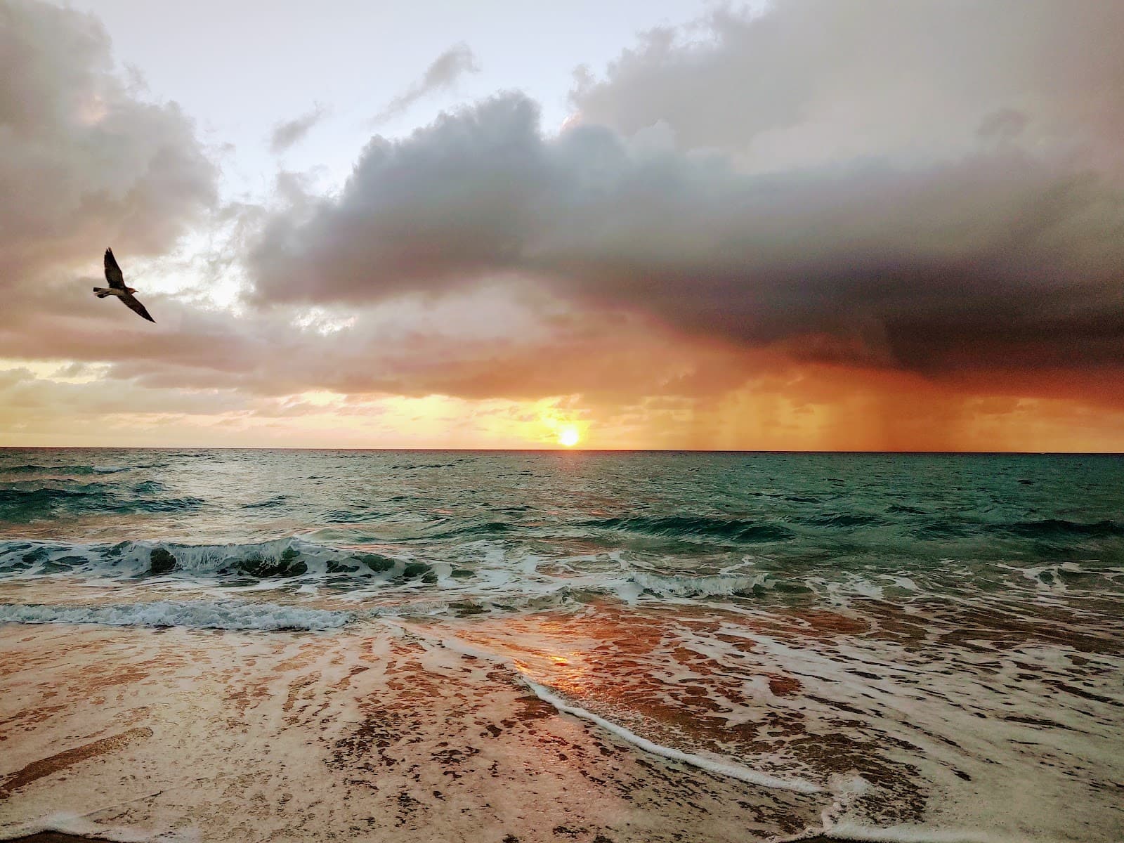 Delray Beach Pavilion - Image 1