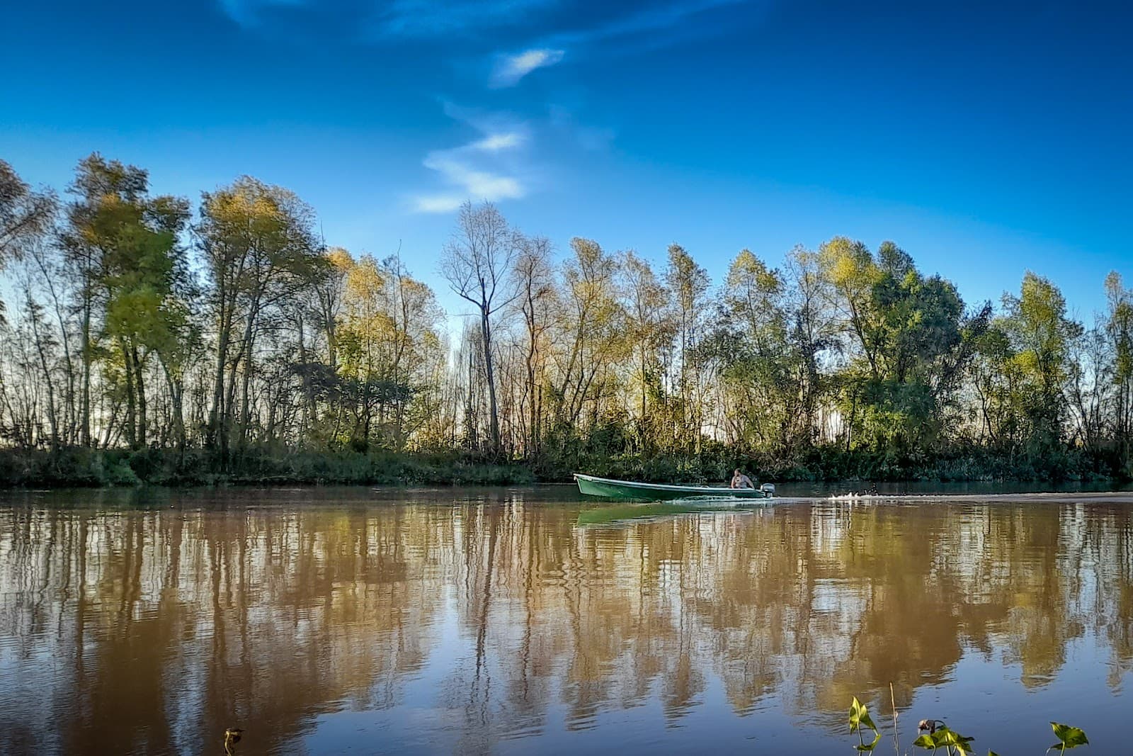 Paseo Público Municipal - Image 1